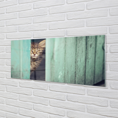 Akrilo stiklo paveikslas Katė žiūri į vidų
