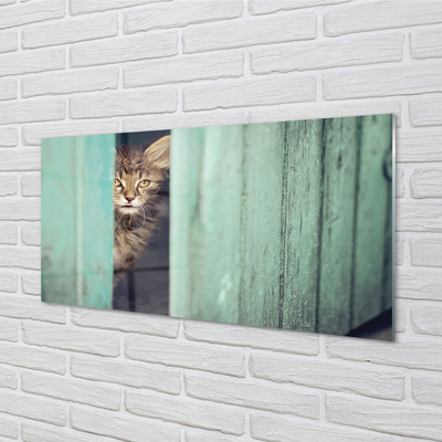 Akrilo stiklo paveikslas Katė žiūri į vidų