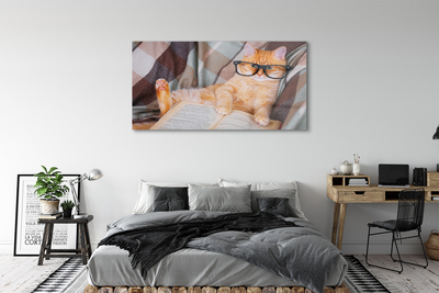 Akriliniai paveikslas Skaitanti katė