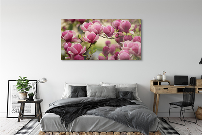 Akriliniai paveikslas Medžių gėlės