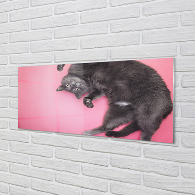 Akrilo stiklo paveikslas Guli katė
