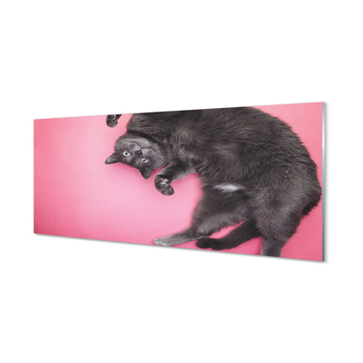 Akrilo stiklo paveikslas Guli katė