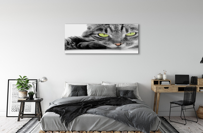 Akriliniai paveikslas Pilka ir juoda katė