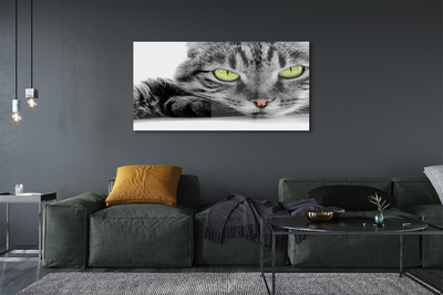 Akriliniai paveikslas Pilka ir juoda katė