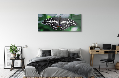 Akriliniai paveikslas Spalvingi drugelio lapai