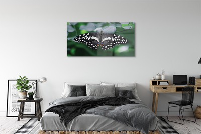 Akriliniai paveikslas Spalvingi drugelio lapai