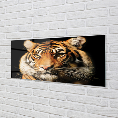 Akriliniai paveikslas Tigras
