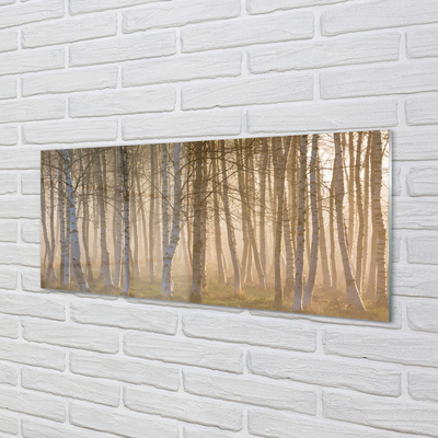 Paveikslas ant akrilinio stiklo Saulėtekio miško medžiai