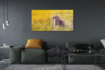 Akriliniai paveikslas Medžioklė katė