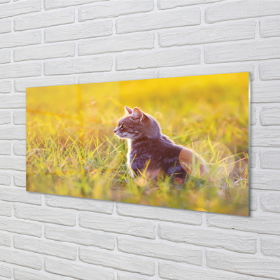 Akriliniai paveikslas Medžioklė katė