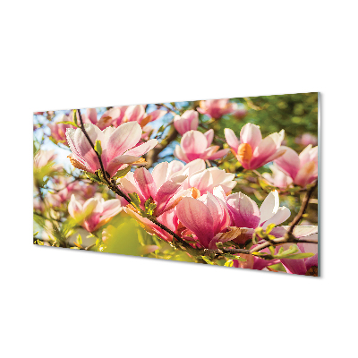 Akriliniai paveikslas Rožinė magnolija