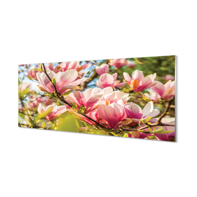 Akriliniai paveikslas Rožinė magnolija