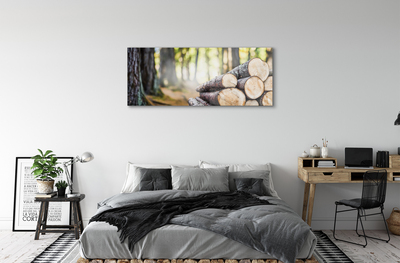Akrilo stiklo paveikslas Medinis gamtos miškas