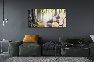 Akrilo stiklo paveikslas Medinis gamtos miškas