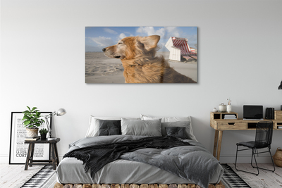 Akriliniai paveikslas Rudas paplūdimio šuo