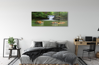 Akrilo stiklo paveikslas Tigrų krioklys