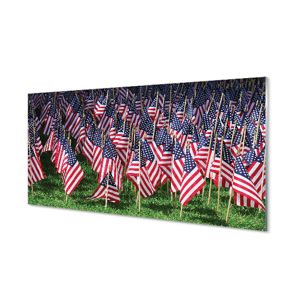 Akrilo stiklo paveikslas Jungtinių Valstijų vėliavos