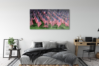 Akrilo stiklo paveikslas Jungtinių Valstijų vėliavos