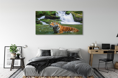 Nuotrauka ant drobes Tigro krioklys