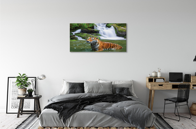 Nuotrauka ant drobes Tigro krioklys