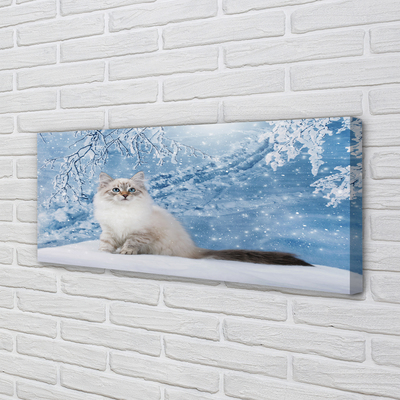 Foto paveikslai ant drobės Katė žiemą