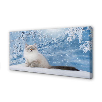 Foto paveikslai ant drobės Katė žiemą