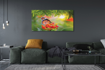 Foto paveikslai ant drobės Spalvingos drugelių gėlės