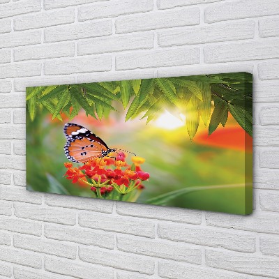 Foto paveikslai ant drobės Spalvingos drugelių gėlės