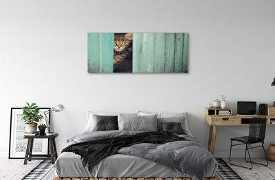 Foto paveikslai ant drobės Katė žiūri į vidų