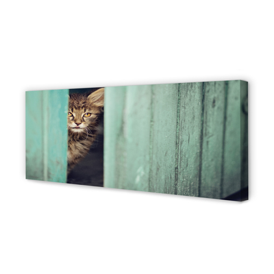 Foto paveikslai ant drobės Katė žiūri į vidų