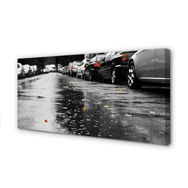 Foto paveikslai ant drobės Automobiliai ruduo palieka kelią