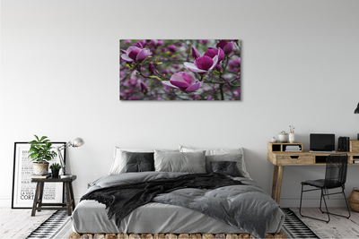 Foto paveikslai ant drobės Violetinė magnolija