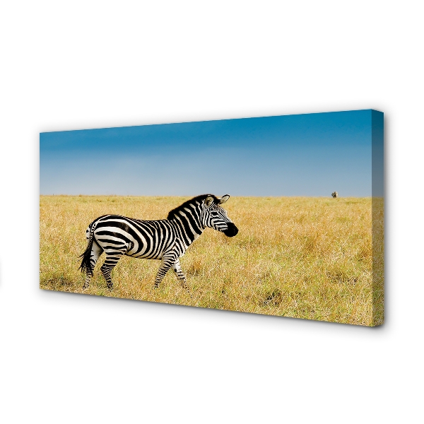 Paveikslas ant drobes Zebrų laukas