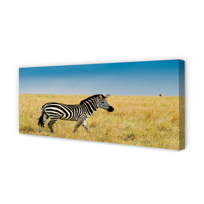 Paveikslas ant drobes Zebrų laukas