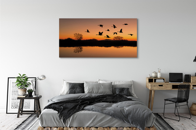 Foto paveikslai ant drobės Skrendantys paukščiai saulėlydžio metu