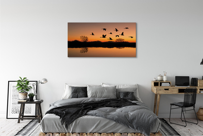 Foto paveikslai ant drobės Skrendantys paukščiai saulėlydžio metu