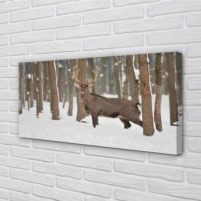 Foto paveikslai ant drobės Elniai žiemos miške