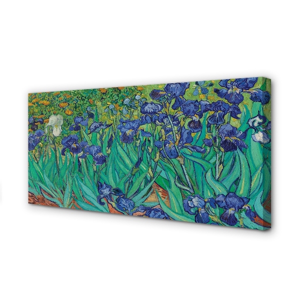 Foto paveikslai ant drobės Irisai – Vincentas van Gogas