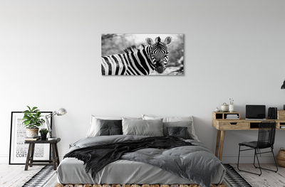 Print ant drobės Retro zebras