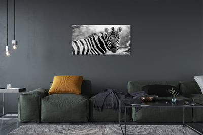 Print ant drobės Retro zebras