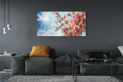 Foto paveikslai ant drobės Magnolijos saulės dangus
