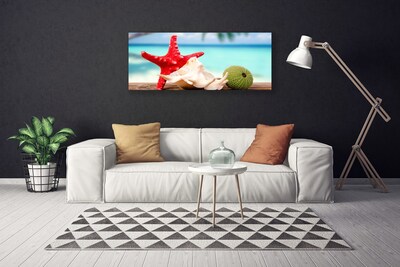 Foto ant drobes Jūros kriauklės Starfish Art