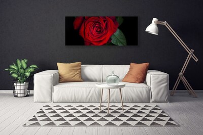 Foto ant drobes Rožė ant sienos