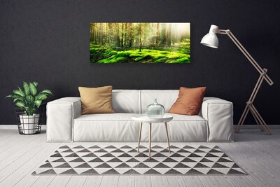 Foto paveikslai ant drobės Samanų miško gamta