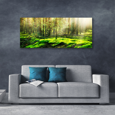 Foto paveikslai ant drobės Samanų miško gamta