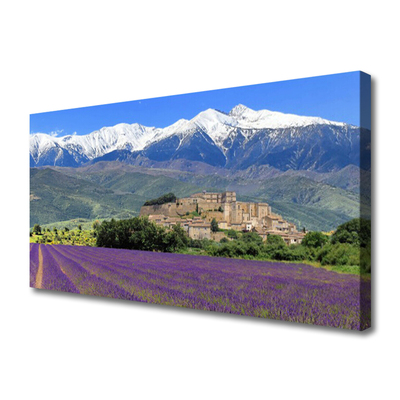 Foto ant drobes Pievų gėlių kalnų peizažas
