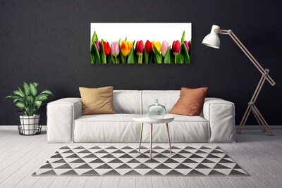 Foto paveikslai ant drobės Tulpių augalas