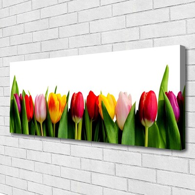 Foto paveikslai ant drobės Tulpių augalas
