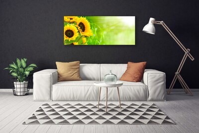 Foto paveikslai ant drobės Saulėgrąžų augalas