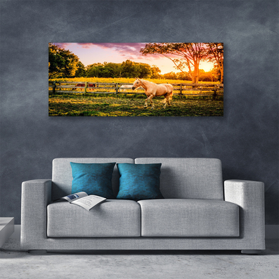 Nuotrauka ant drobes Arklių pievų gyvūnai gamta